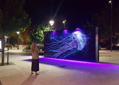 arnaudflow-jellyfish-constellations-metz