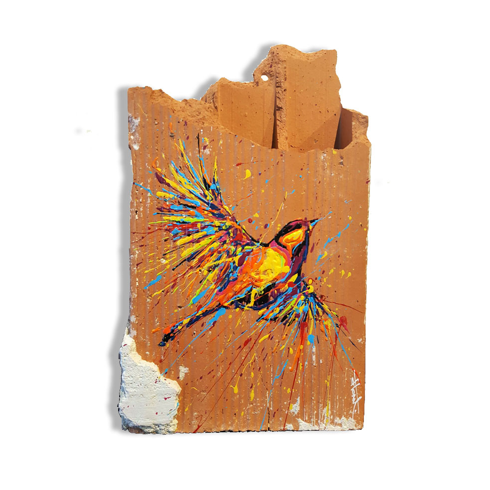 Brique-oiseau rainbow-skull-image